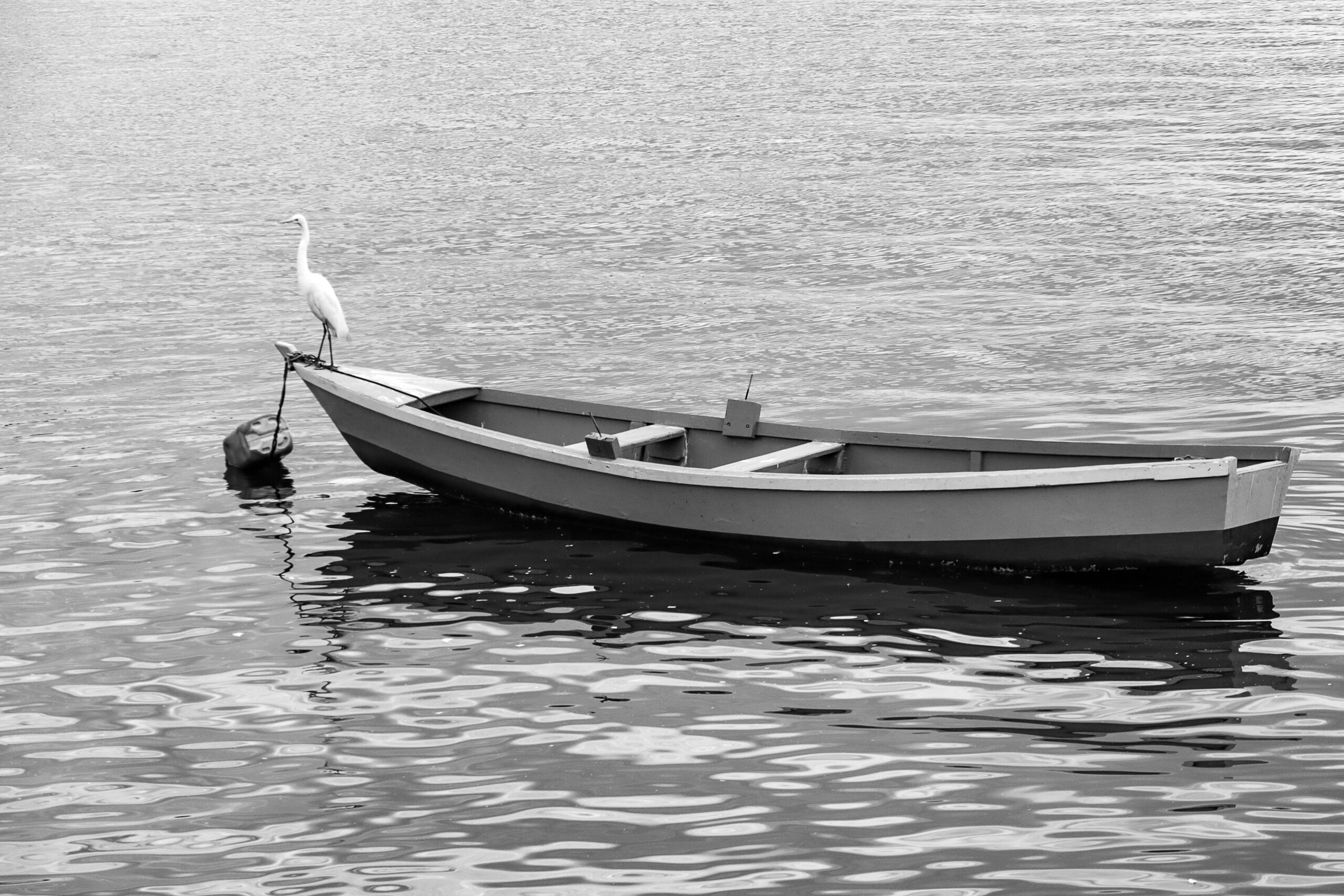 A peaceful scene of an egret perched on a boat in the waters of Guanabara Bay, Rio de Janeiro.